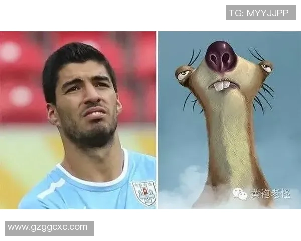 足球明星马脸高清照片欣赏与背后的故事揭秘