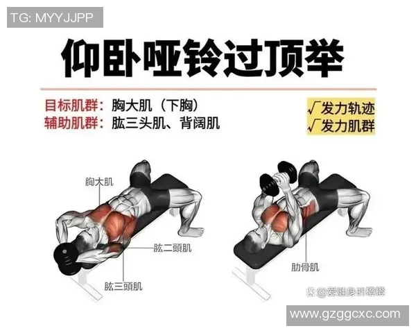 哑铃锻炼的多重效果揭秘提升力量塑形增强耐力与灵活性