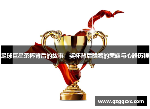 足球巨星茶杯背后的故事：奖杯背后隐藏的荣耀与心路历程