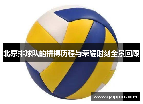 北京排球队的拼搏历程与荣耀时刻全景回顾