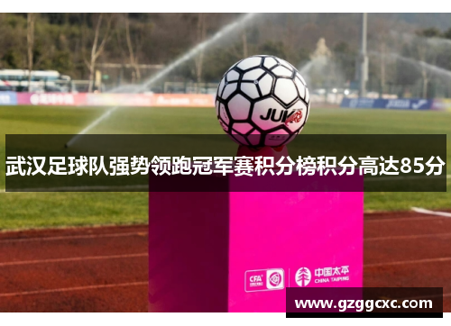 武汉足球队强势领跑冠军赛积分榜积分高达85分